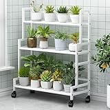 Stabiles 3-stöckiges Metall-Pflanzenregal auf Rädern – vielseitiger Blumenständer für drinnen...
