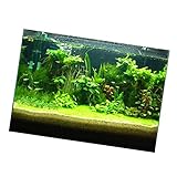 MotiveTech Aquarium Hintergrundbild 3D Aquarium Poster Fischbecken Landschaftsaufkleber...