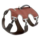 Ferplast Hundegeschirr Medium ERGOTREKKING M, Ausbruchsicheres Hundegeschirr, Greyhound, Perfekte...