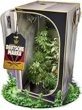 PURPLE LEGACY® 1680D Oxford Stoff Grow Box 60x60x160 cm für Profis mit Wasserschutz | Zuchtzelt...