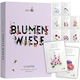 Blumen Samen Set - 10 bunte Blumensamen Sorten für den Garten oder Balkon, die Bienenweide und...