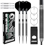 RED DRAGON Pegasus 24 Gramm-Professionelles Tungsten-Steeltip-Dart-Set mit Flights, Schäften...