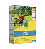 BHS Sonnenrasen – 1 kg – 40 m² – Resistent gegen Mittelmeerklima – resistent gegen...