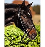 Kerbl 321744 Trensenzaum Standard Leder für Warmblut, braun