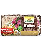 Neudorff KokoHum BlumenErde – Praktische Brikett-Erde erspart schweres Schleppen und ist ideal...