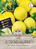 Sperli Zitronengurkensamen Lemon 80854 – süß-fruchtiges, saftiges Snack-Gemüse - Inhalt für 25...