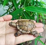 WOO MANTO Schildkröte Figur 6,5cm lang - kleine Tierfigur aus Harz, Dekofigur für Garten/Indoor...