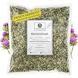 Mariendistel Tee • 500g • für Leberkur • Leber entgiften • Mariendistelkraut pur...
