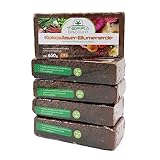 Terra Discount Kokosfaserhumus *Blumenerde* 5X ca.650g (ergibt ca. 45 Liter), Kokoserde als...
