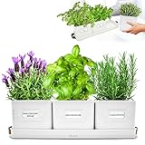 Green Thumbz 3 STK. Kräutertopf - Kräutertöpfe für Deinen Kräutergarten und Fensterbank Innen...