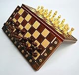 FBITE Schachspiele und Bretter, magnetisches Backgammon-Set für Damen, faltbares Brettspiel,...