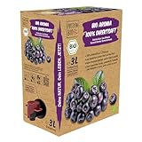 Bio Aronia Direktsaft 3 Liter Box aus deutschem Anbau - Aroniasaft aus 100% Aroniabeeren, 30 Tage...