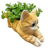 Fléliur Chåton – Blumenkasten aus Kunstharz, 16 x 7 x 8,5 cm, bezaubernde Katzenstatue,...