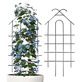 Gartenspalier Für Kletterpflanzen, 2 Stück - Und Blumenstützen Aus Metall, 20,47 Zoll Hohes...