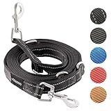 vitazoo Hundeleine - 3mx2,5cm - Nylon-Graphit Leine mit Karabinern für Kleine, Mittelgroße und...