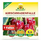 Neudorff KirschmadenFalle – Schützt Kirschen und Walnüsse vor Madenbefall, insektizidfreie...