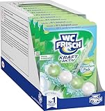 WC-Frisch Kraft Aktiv Pro Nature Minze und Eukalyptus (10er Pack), WC-Reiniger für Reinigung bei...