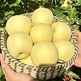 200 pcs apfel samen zum pflanzen, seltene pflanzen, geschenke für den garten säulenapfelbaum -...