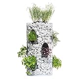 bellissa Gabionen-Kräuterturm - 95620 - Steinkorb-Blumenturm für 10 Pflanzen mit integriertem...