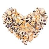 SKOOLOVE 300pcs Mini Starfis und kleine Muscheln Mini Gemischte Muscheln Seestern Natürliche...