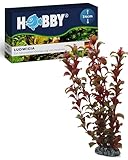 HOBBY Aquaristik Ludwigia I 34 cm I künstliche Aquarienpflanze I pflegeleichte Aquarium Deko I...