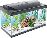 Tetra Starter Line 54 L Aquarium Komplett-Set mit LED-Beleuchtung - stabiles Einsteigerbecken mit...