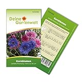 Kornblume Gefüllte Mischung Samen - Centaurea cyanus - Kornblumensamen - Blumensamen - Saatgut für...