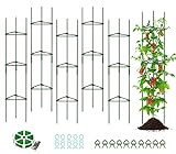 SUNYRISY Tomate Rankhilfe im Set, Pflanzenhalter für Tomate, Rankhilfen für Kletterpflanzen,...