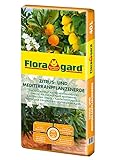 Floragard Zitrus-und Mediterranpflanzenerde 40 Liter - Zitruspflanzenerde - Kübelpflanzenerde mit...