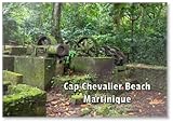 Sugar Cane Factory Ruins near Cap Chevalier Beach – Martinique Excursions Ideas – Places to...