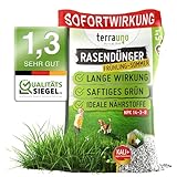 TerraUno Rasendünger Frühjahr/Sommer I Sofortwirkung für saftiges grün I 20 kg für 1000 m² I...