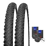 Set: 2 x Schwalbe Black Jack Reifen 26x2.00/50-559 + Schwalbe SCHLÄUCHE Autoventil