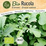 Little Plants BIO Rucola Samen 300 Rucolasamen Esmee Rukola Gemüsesamen für Gemüsegarten...
