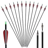 Huntingdoor 12er Pack 30 Zoll Carbonpfeile Jagdpfeile mit Vanes und drehbare Nocken 550 Spine Pfeile...