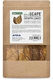 ARKA mySCAPE-CATAPPA Leaves - 8-12 cm / 10 Stück - Natürlicher Wasseraufbereiter aus...