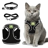 Katzengeschirr und Leine, Set für Kätzchen, ausbruchsicher, verstellbar, Größe XS