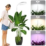 SIYOMG Pflanzenlampe LED Vollspektrum, Grow Lampe für Zimmerpflanzen, 72 LEDs...