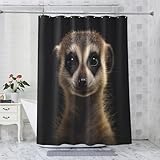 NANDHA Duschvorhang Erdmännchen, Duschvorhang 100x200 Tiere Niedlich, Shower Curtain & 12...