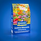 Kiepenkerl Profi-Line Blumensamen-Mischung Ländliche Blütenwelle 1078270 - widerstandsfähige...