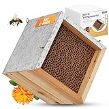 BEESI Bienenhotel mit Metalldach I 600 Nisthülsen aus Pappe 6 & 8 mm Ø I Insektenhotel zum hängen...