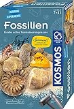 KOSMOS 657918 Fossilien Ausgrabungs-Set, Grabe echte Versteinerungen und Bernstein selbst aus, mit...