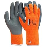 HandschuhMan. OX-ON-Multi Grab Winterhandschuhe Arbeitshandschuhe Thermo gefüttert, 1 Paar,Gr. 8-11...