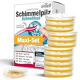 airself Schimmeltest Maxi-Set, 12 Nährböden zur Untersuchung der Schimmelpilzbelastung in...