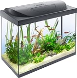 Tetra Starter Line 80 L Aquarium Komplett-Set - inkl. Tag- & Nachtlicht LED-Beleuchtung,...