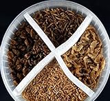 Teichfutter Koifutter Koi-Naturfutter- Menü 5 L Eimer 4 Kammern getrocknete Bachflohkrebse...