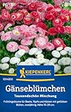 Kiepenkerl Gänseblümchensamen Tausendschön Mischung 1014800 - Blumensamen für eine schöne...