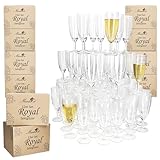 MamboCat 12er Set Royal Sektgläser I 140ml, Höhe 16cm I modernes klares Sektglas mit Fuß I...