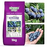 Heidelbeere Dünger Lang Frechlein bis 100Tage ORO Bilberry 5kg GREEN ORO