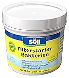 Söll 80587 FilterstarterBakterien, 100 g - hochreine Mikroorganismen, Filterbakterien für...