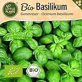 Little Plants BIO Basilikum Samen 500 Basilikumsamen Genoveser Kräutersamen Samenfest für...